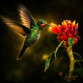 Spark of Life